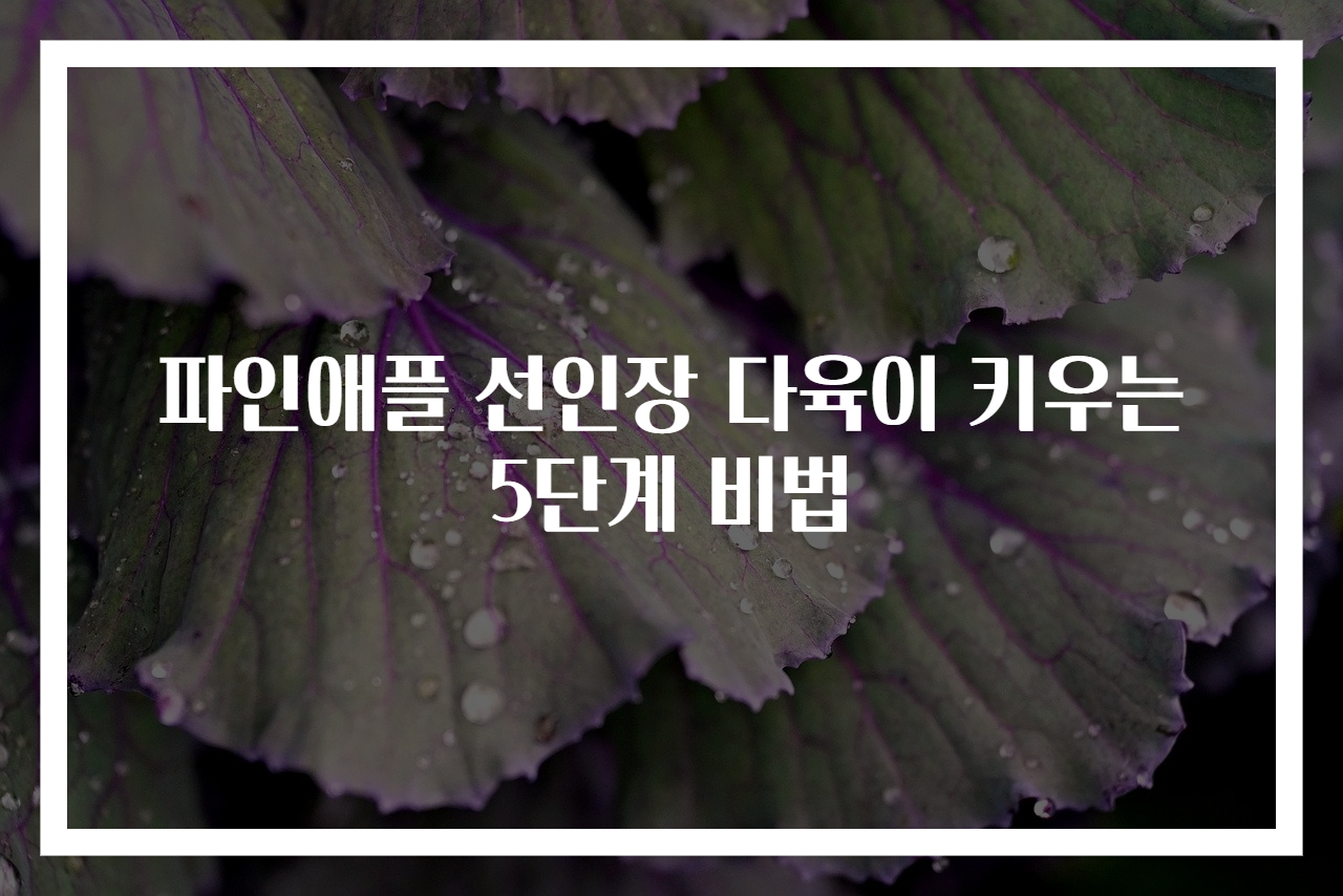 파인애플 선인장 다육이 키우는 5단계 비법