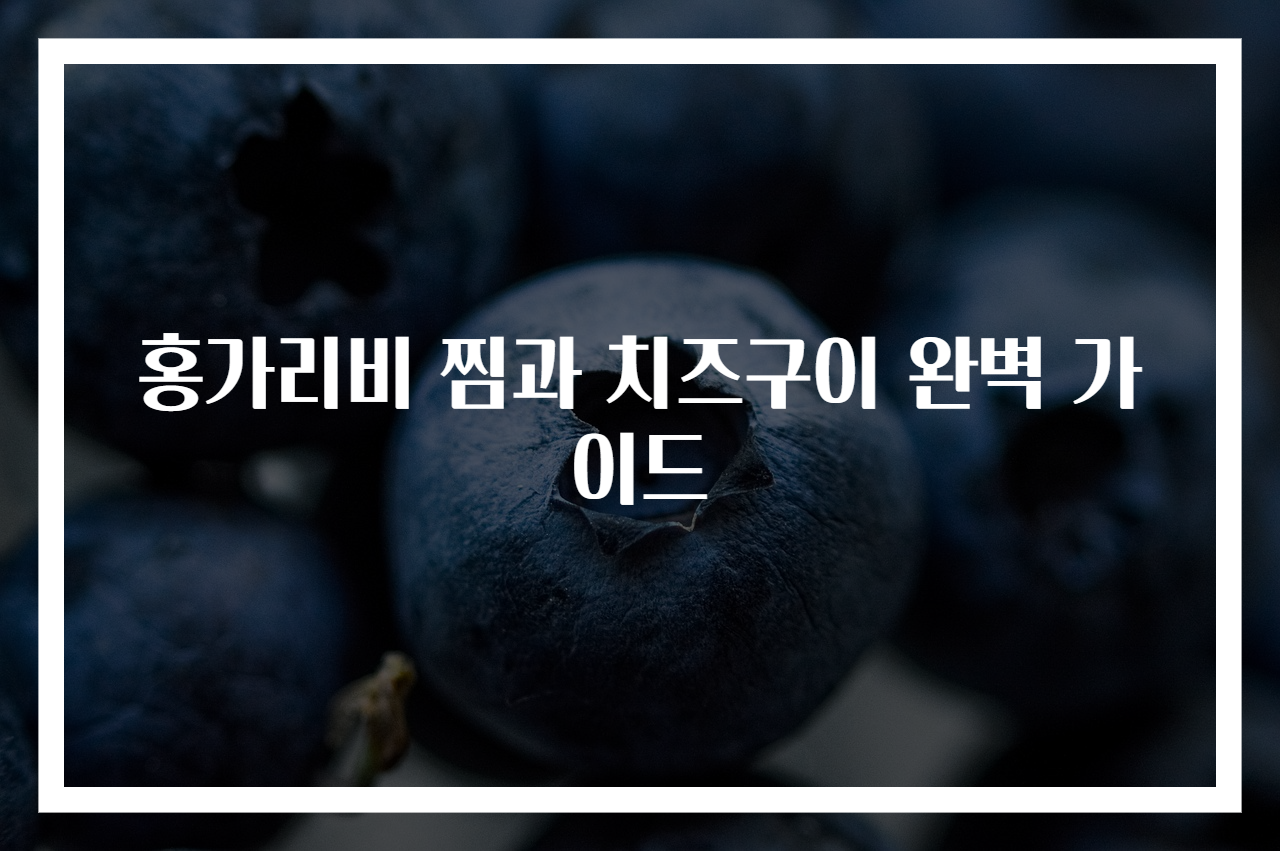 홍가리비 찜과 치즈구이 완벽 가이드
