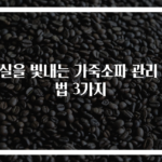 거실을 빛내는 가죽소파 관리 비법 3가지