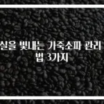 거실을 빛내는 가죽소파 관리 비법 3가지