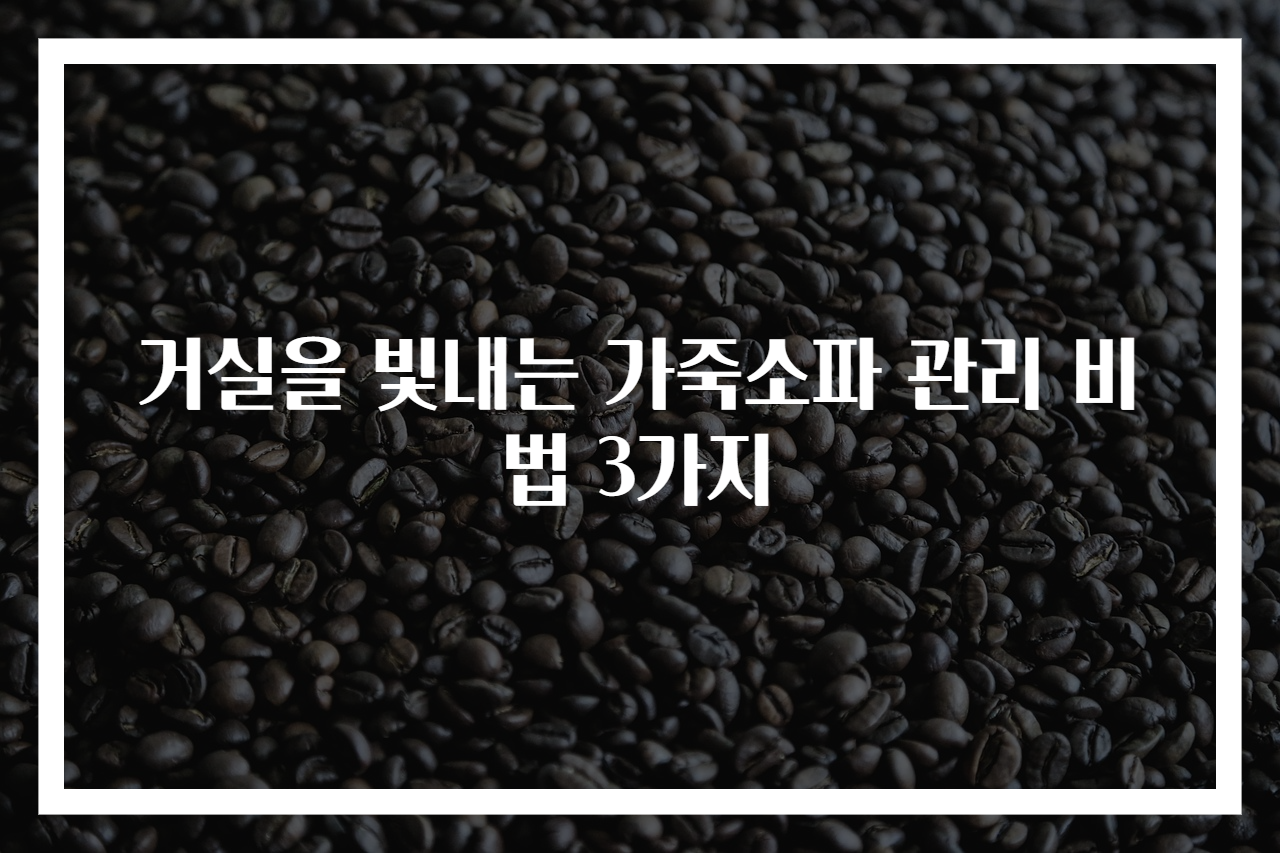 거실을 빛내는 가죽소파 관리 비법 3가지