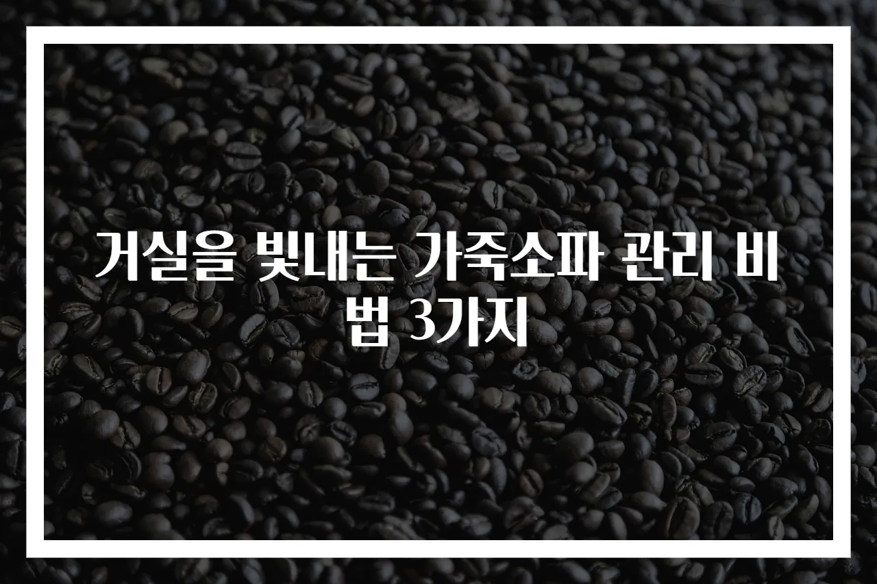 거실을 빛내는 가죽소파 관리 비법 3가지