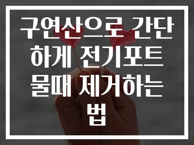 구연산으로 간단하게 전기포트 물때 제거하는 법
