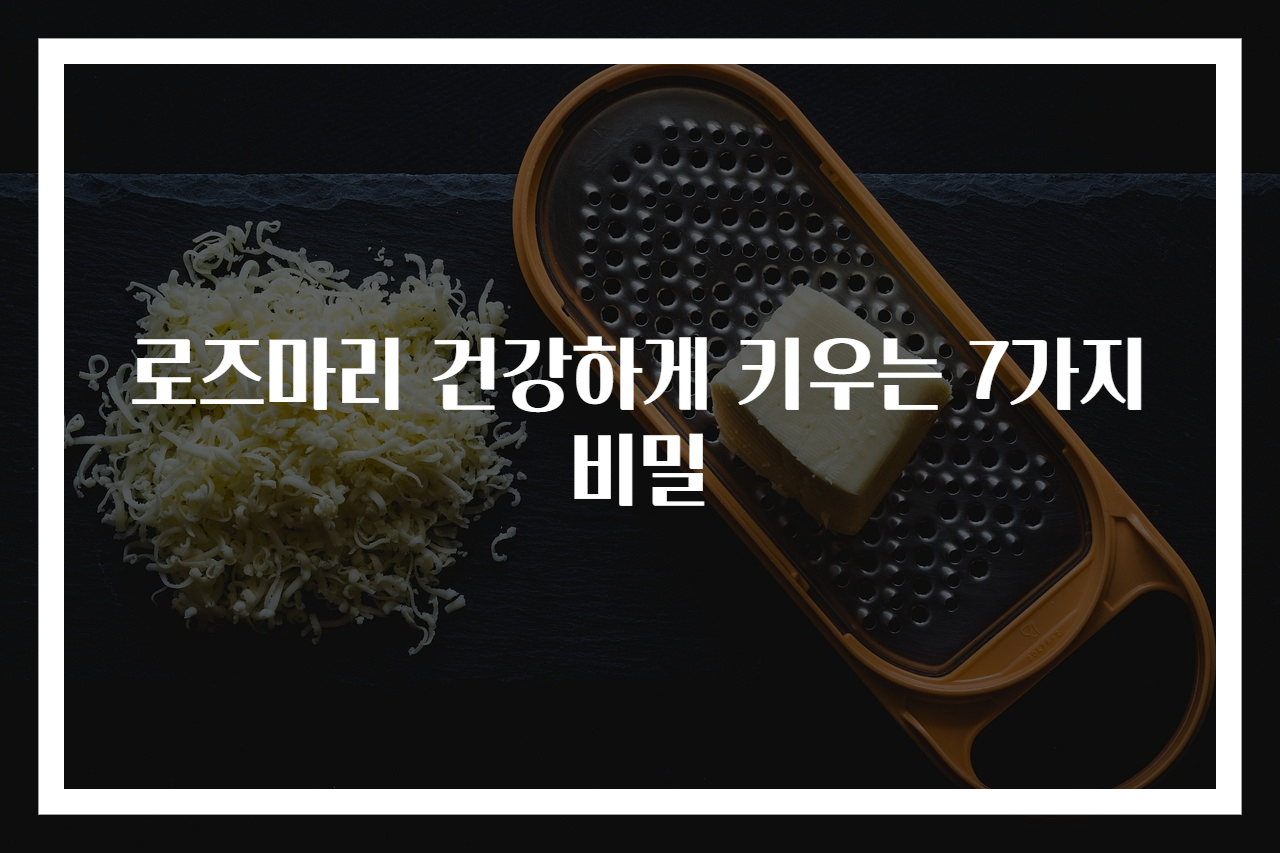 로즈마리 건강하게 키우는 7가지 비밀