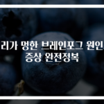 머리가 멍한 브레인포그 원인과 증상 완전정복