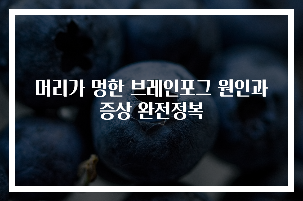 머리가 멍한 브레인포그 원인과 증상 완전정복