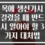 목에 생선가시 걸렸을 때 반드시 알아야 할 3가지 대처법