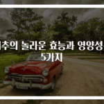 배추의 놀라운 효능과 영양성분 5가지