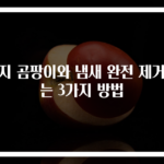 벽지 곰팡이와 냄새 완전 제거하는 3가지 방법