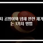 벽지 곰팡이와 냄새 완전 제거하는 3가지 방법