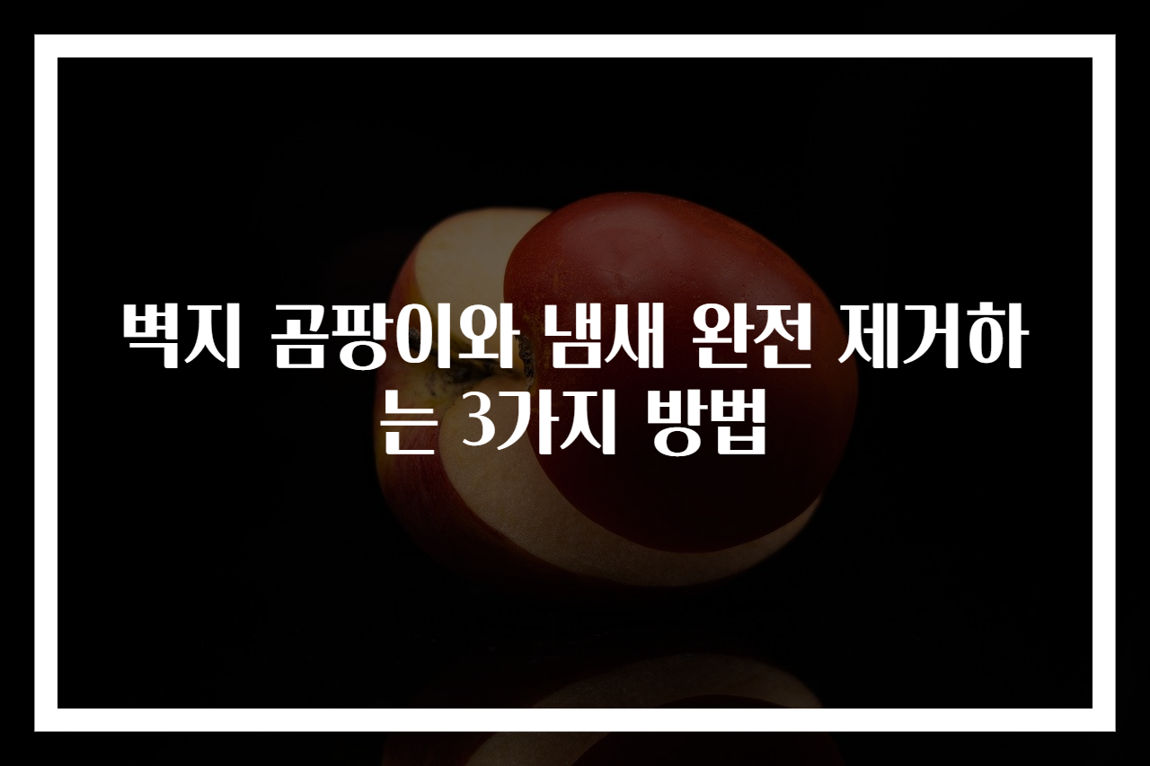 벽지 곰팡이와 냄새 완전 제거하는 3가지 방법