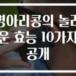 병아리콩의 놀라운 효능 10가지 공개