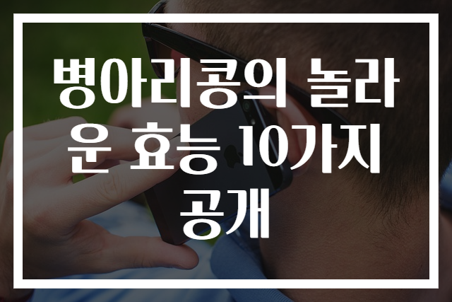 병아리콩의 놀라운 효능 10가지 공개