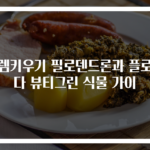 셀렘키우기 필로덴드론과 플로리다 뷰티그린 식물 가이