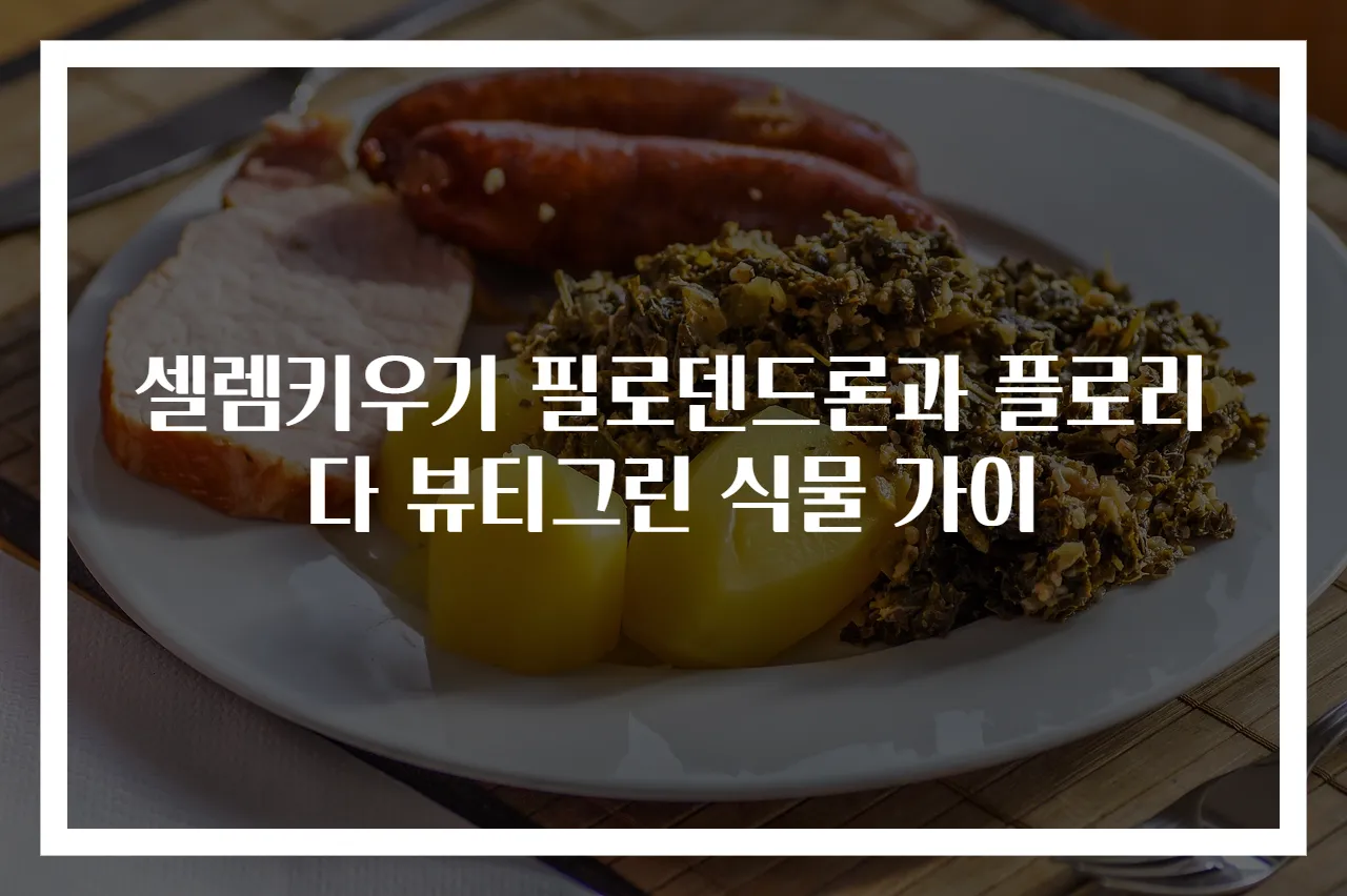 셀렘키우기 필로덴드론과 플로리다 뷰티그린 식물 가이