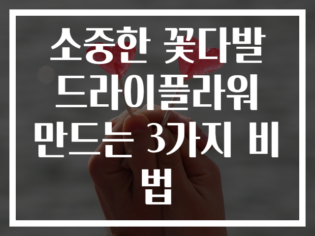 소중한 꽃다발 드라이플라워 만드는 3가지 비법