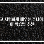 쉽고 저렴하게 배우는 주니어 영어 학습법 추천