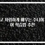쉽고 저렴하게 배우는 주니어 영어 학습법 추천