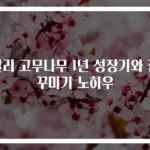 알리 고무나무 1년 성장기와 집 꾸미기 노하우