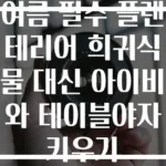 여름 필수 플랜테리어 희귀식물 대신 아이비와 테이블야자 키우기