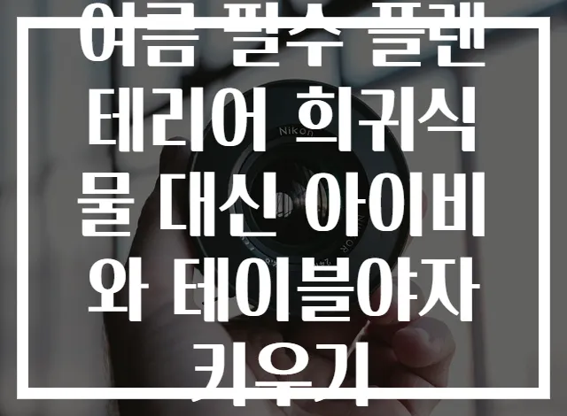 여름 필수 플랜테리어 희귀식물 대신 아이비와 테이블야자 키우기