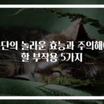 은단의 놀라운 효능과 주의해야 할 부작용 5가지