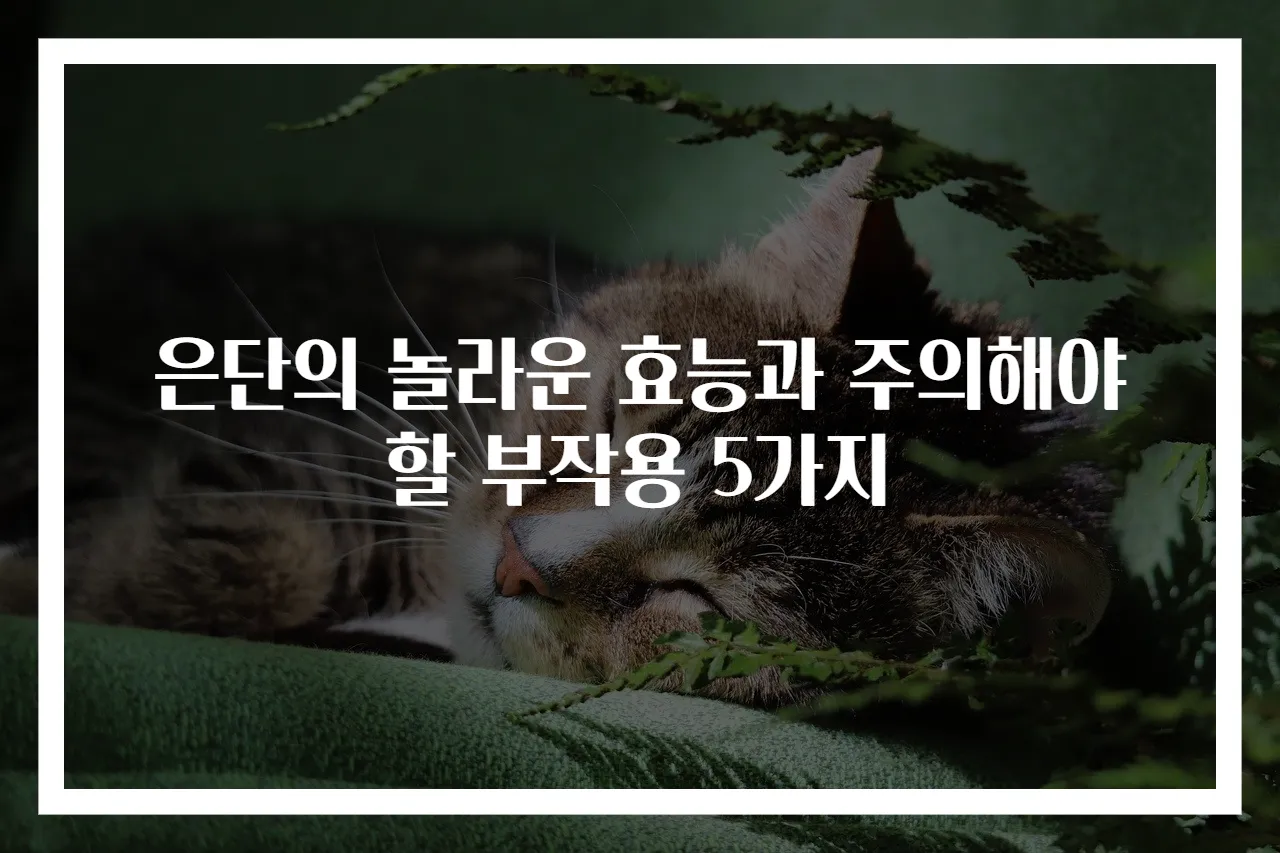 은단의 놀라운 효능과 주의해야 할 부작용 5가지