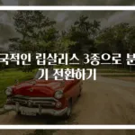 이국적인 립살리스 3종으로 분위기 전환하기