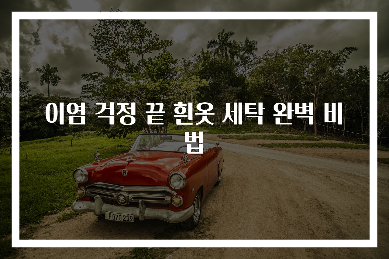 이염 걱정 끝 흰옷 세탁 완벽 비법