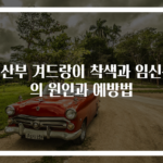 임산부 겨드랑이 착색과 임신선의 원인과 예방법