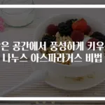 작은 공간에서 풍성하게 키우는 나누스 아스파라거스 비법