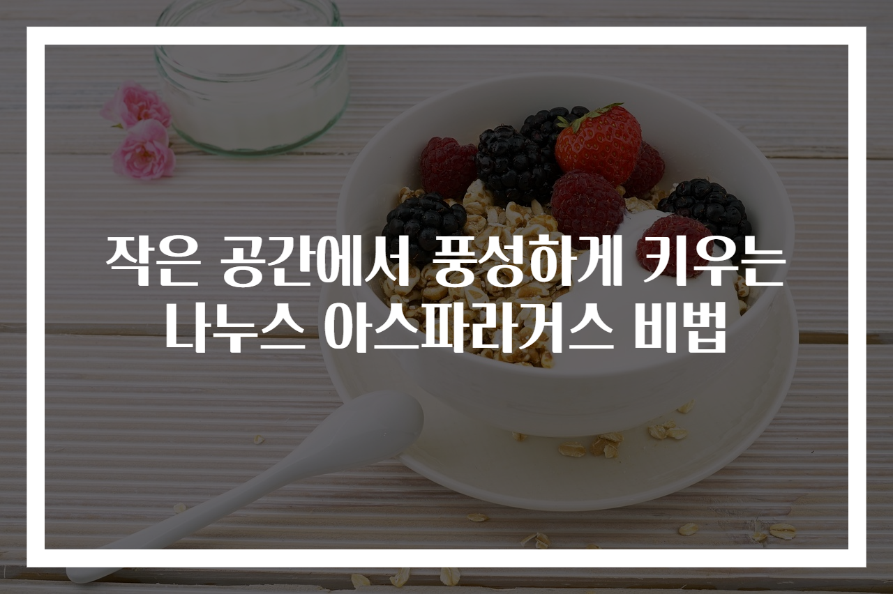 작은 공간에서 풍성하게 키우는 나누스 아스파라거스 비법