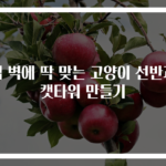 집 벽에 딱 맞는 고양이 선반과 캣타워 만들기