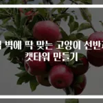 집 벽에 딱 맞는 고양이 선반과 캣타워 만들기