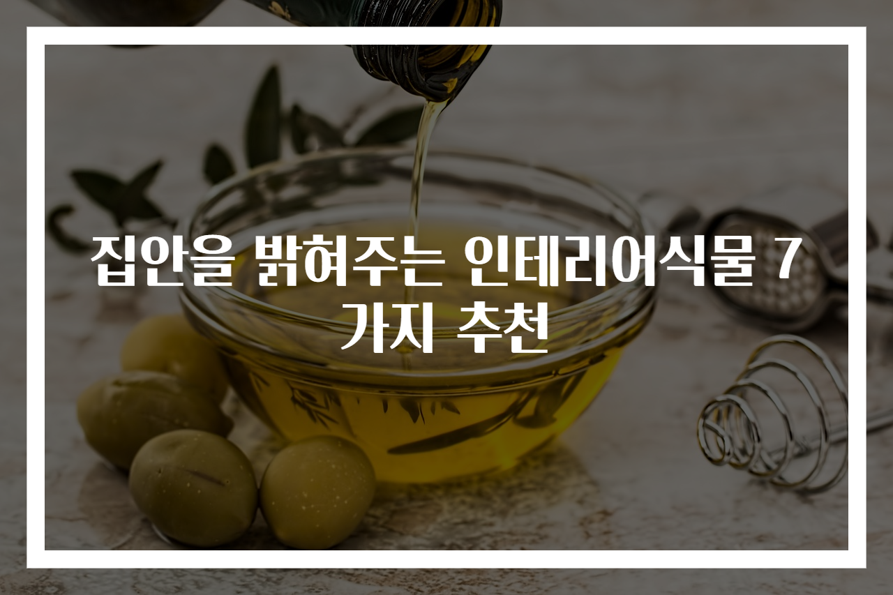 집안을 밝혀주는 인테리어식물 7가지 추천