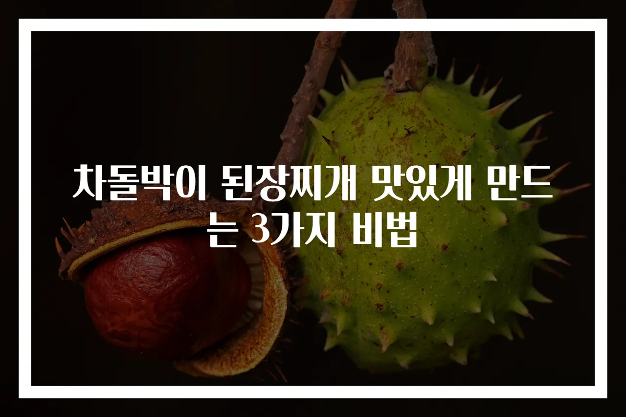 차돌박이 된장찌개 맛있게 만드는 3가지 비법