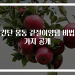 초간단 봄동 겉절이양념 비법 3가지 공개