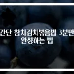초간단 참치김치볶음밥 3분만에 완성하는 법