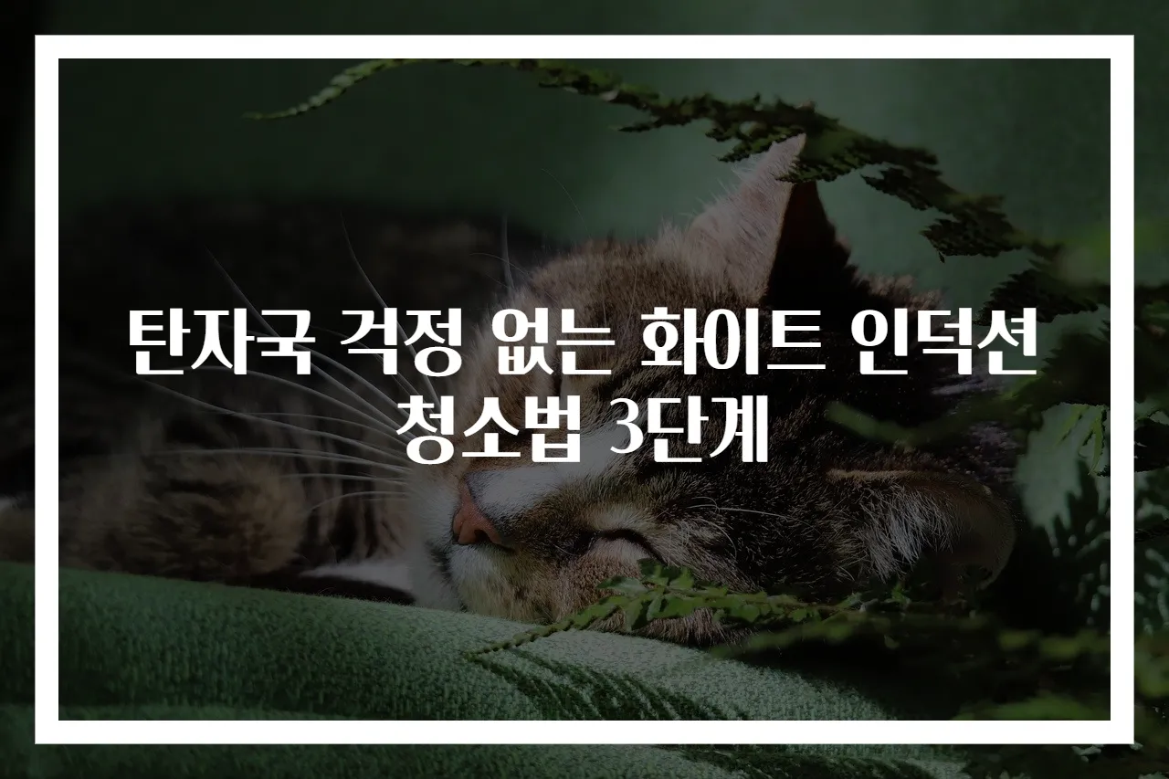 탄자국 걱정 없는 화이트 인덕션 청소법 3단계