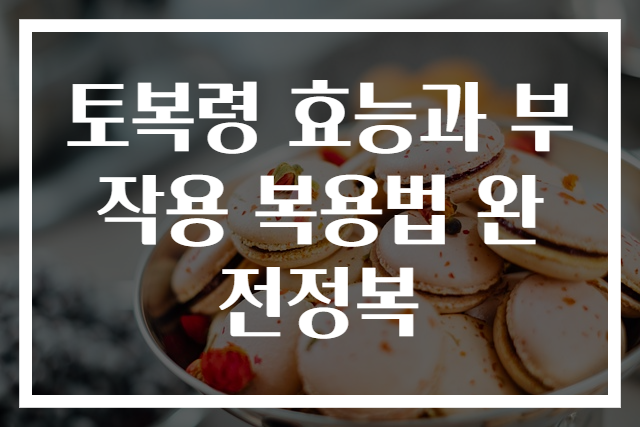 토복령 효능과 부작용 복용법 완전정복
