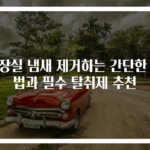 화장실 냄새 제거하는 간단한 방법과 필수 탈취제 추천