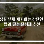 화장실 냄새 제거하는 간단한 방법과 필수 탈취제 추천