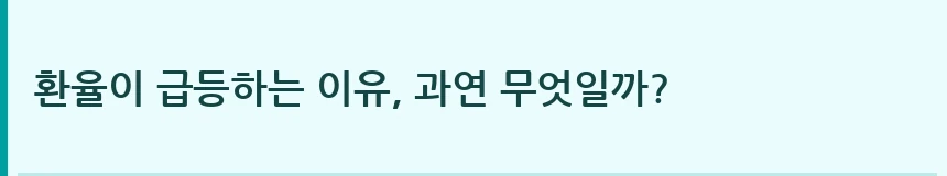 환율이 급등하는 이유, 과연 무엇일까?